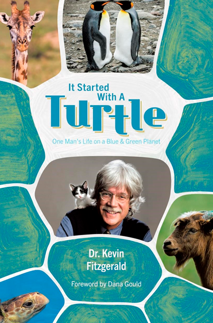 It started with a turtle book cover